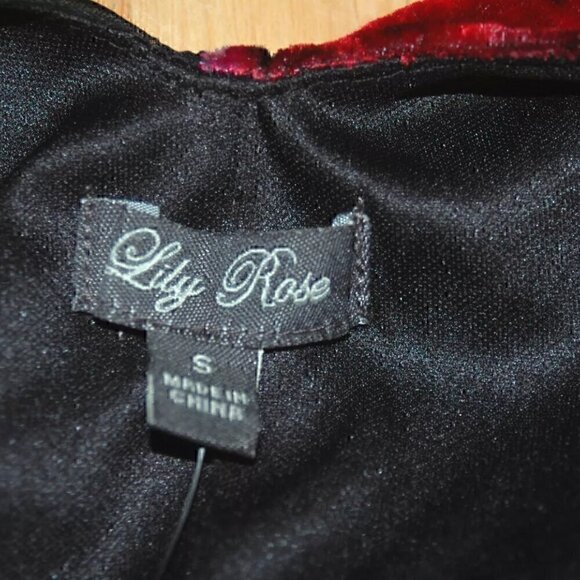 LILY ROSE Velvet Red Roses Dark Floral Tie Back Dress Size S MSRP $48 - Picture 6 of 6